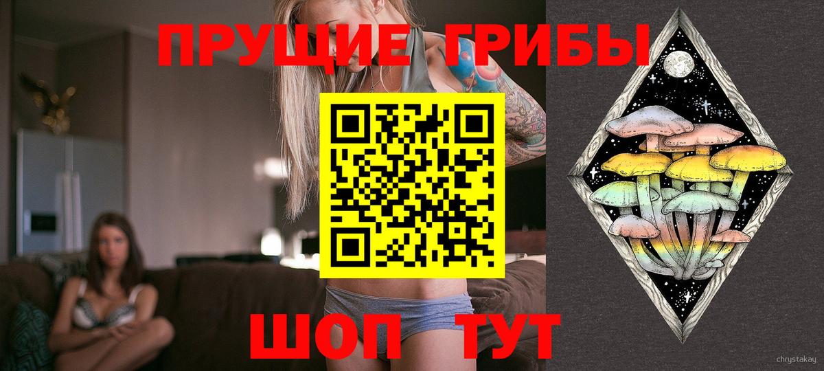 Галлюциногенные грибы Psilocybine cubensis Калач-на-Дону